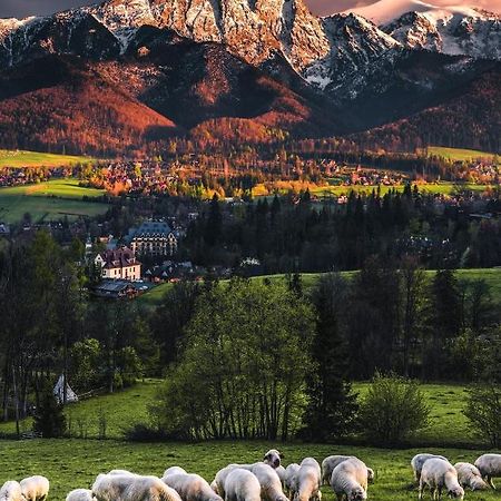 Villa Jumper Widok Na Cale Tatry Lazienka Nie Jest W Pokoju Zakopane Eksteriør billede