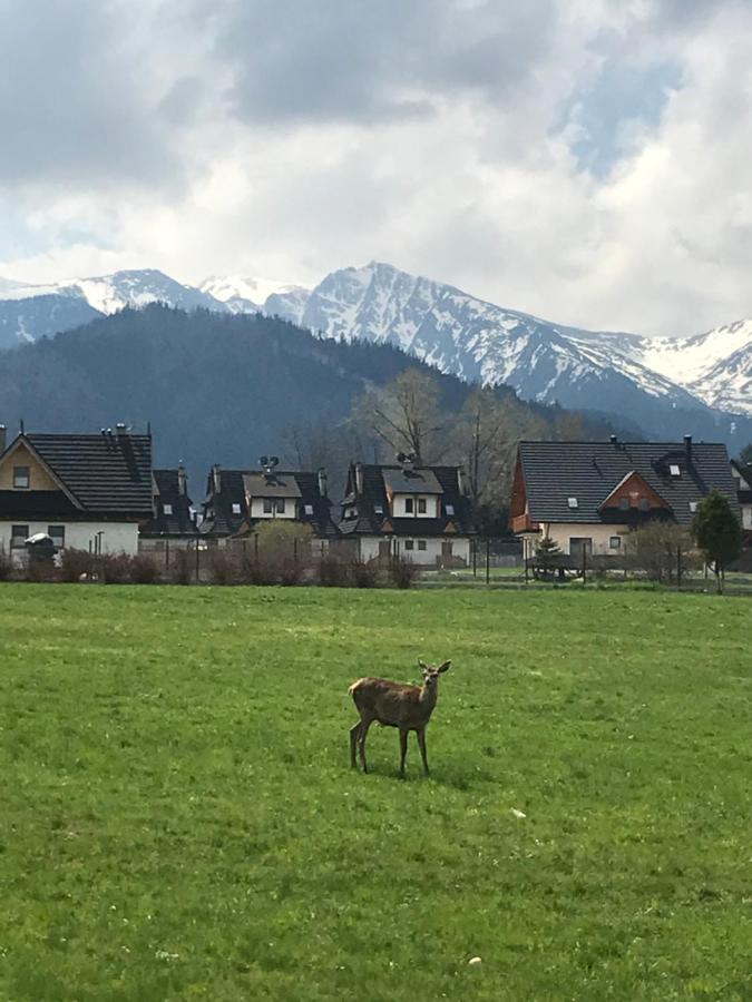 Villa Jumper Widok Na Cale Tatry Lazienka Nie Jest W Pokoju Zakopane Eksteriør billede