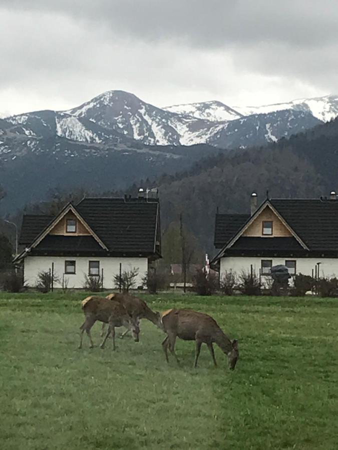 Villa Jumper Widok Na Cale Tatry Lazienka Nie Jest W Pokoju Zakopane Eksteriør billede