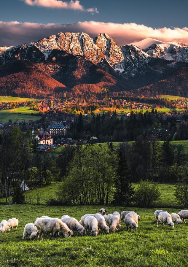 Villa Jumper Widok Na Cale Tatry Lazienka Nie Jest W Pokoju Zakopane Eksteriør billede